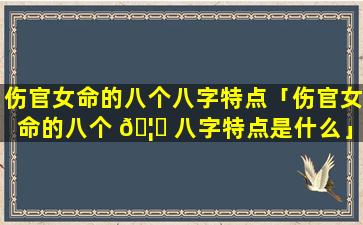 伤官女命的八个八字特点「伤官女命的八个 🦈 八字特点是什么」